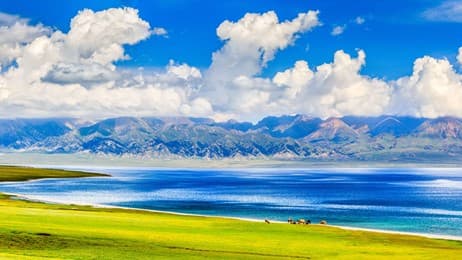 天山上的蓝宝石 thumbnail
